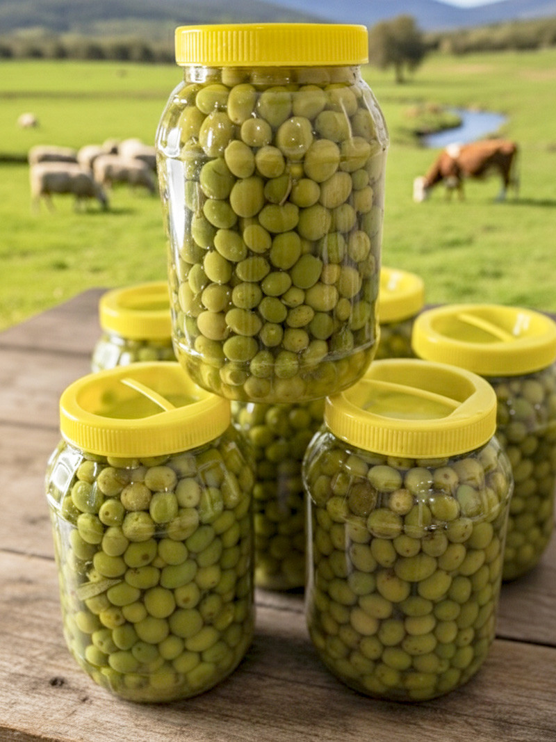 Hatay Halhalı Zeytin 2 kg Bidon