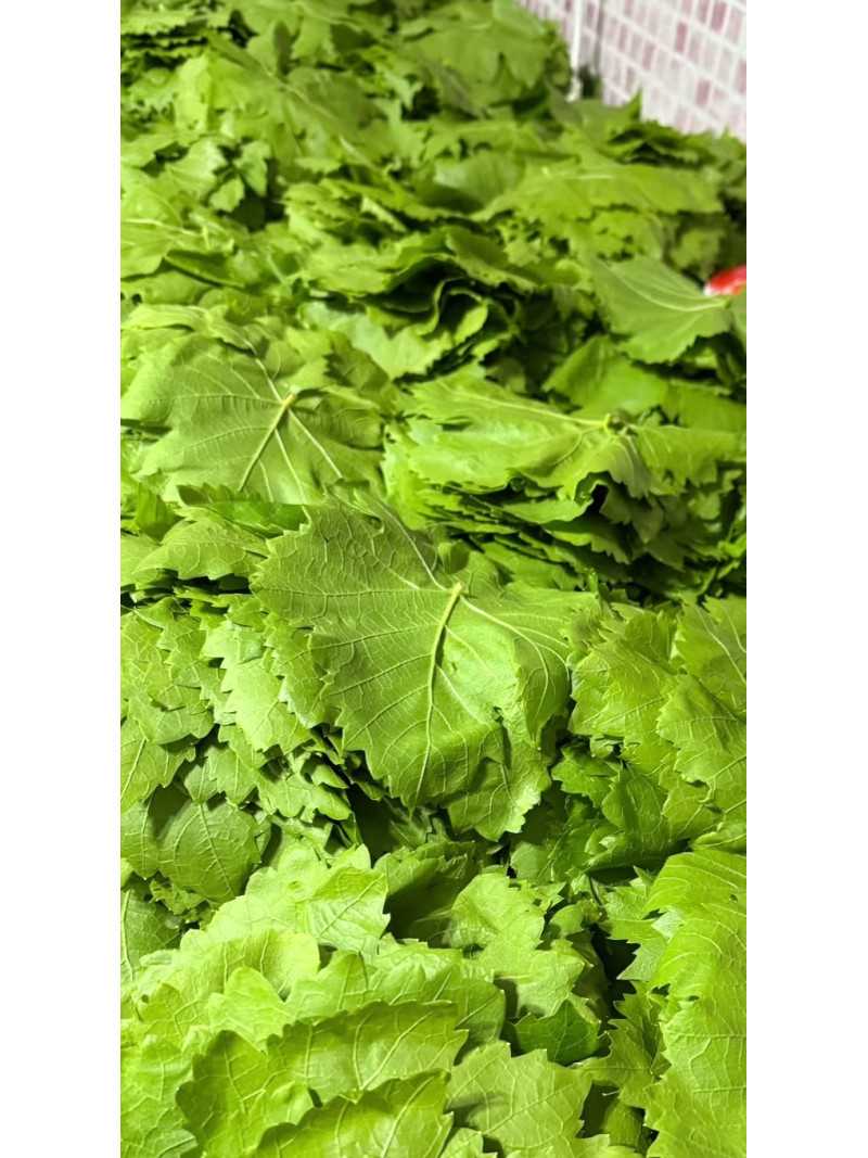 Vakumlu Manisa yaprak 1 kg