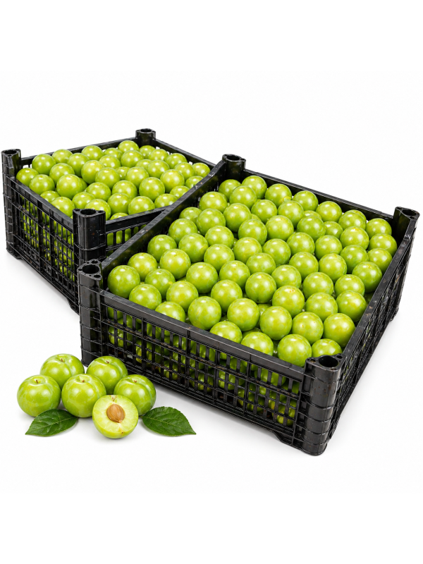 %product-name% %separator% %shop-name%