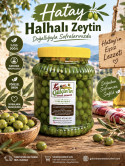 Hatay Halhalı Zeytin 2 kg Bidon