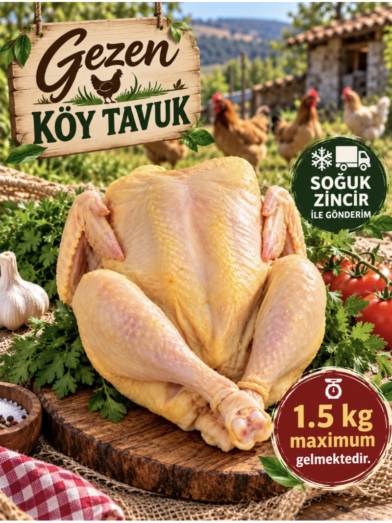 Köy tavuk 1,5 kg
