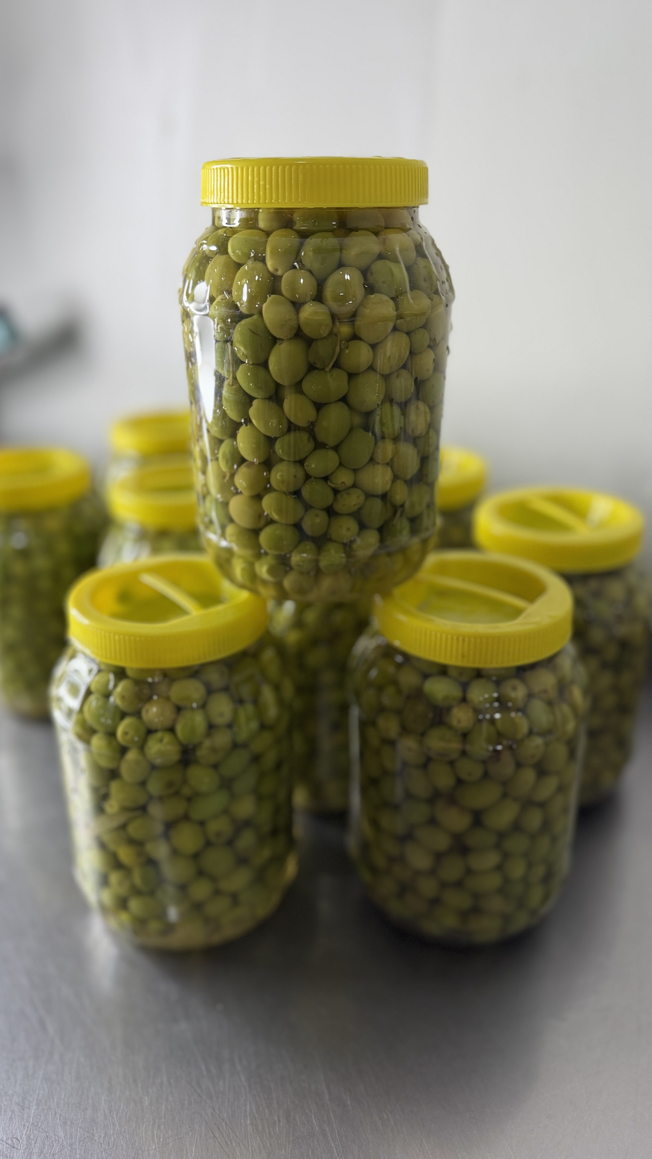 Halhalı zeytin 2 kg bidon