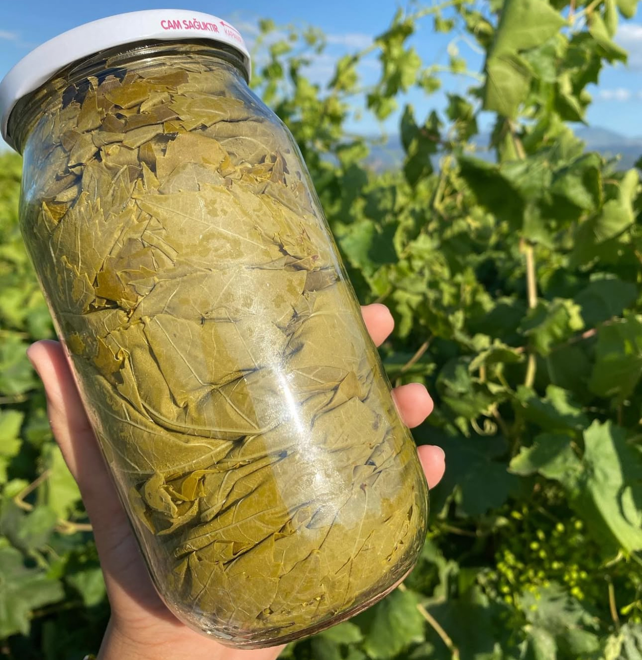 Kuru basım Yaprak 1kg vakumlu