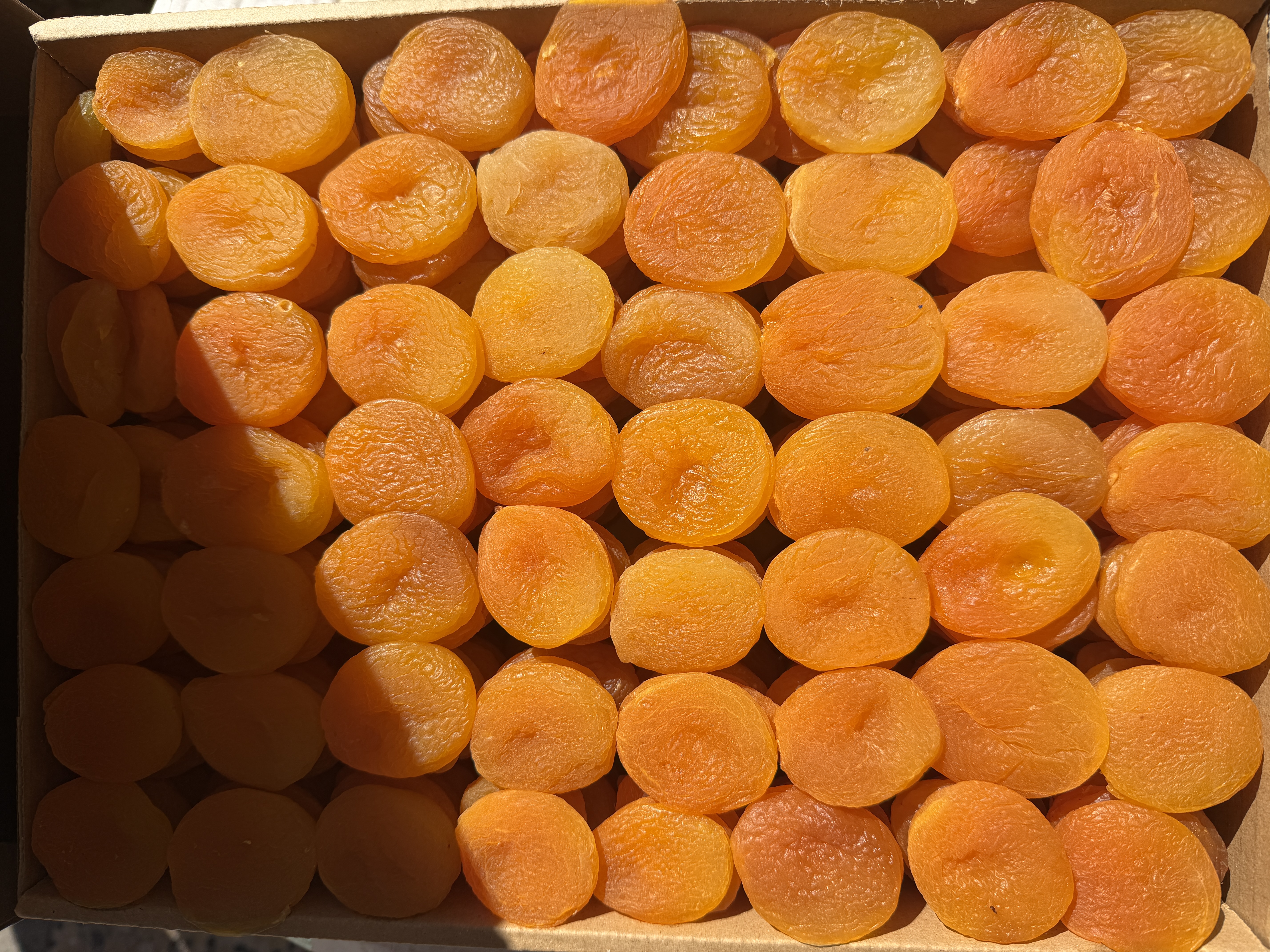 Kayısı 500 gr