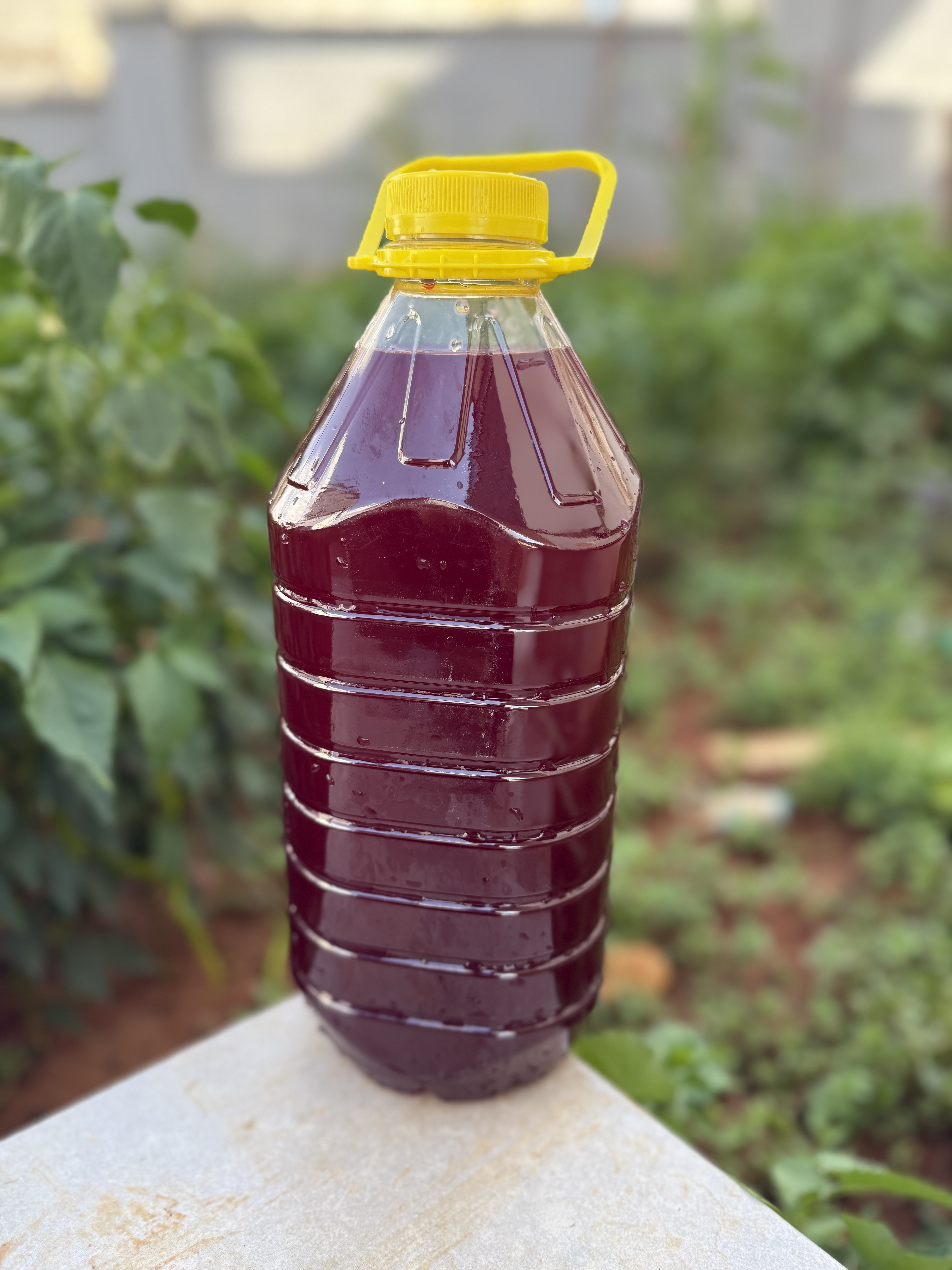 Şalgam El yapımı 3 litre