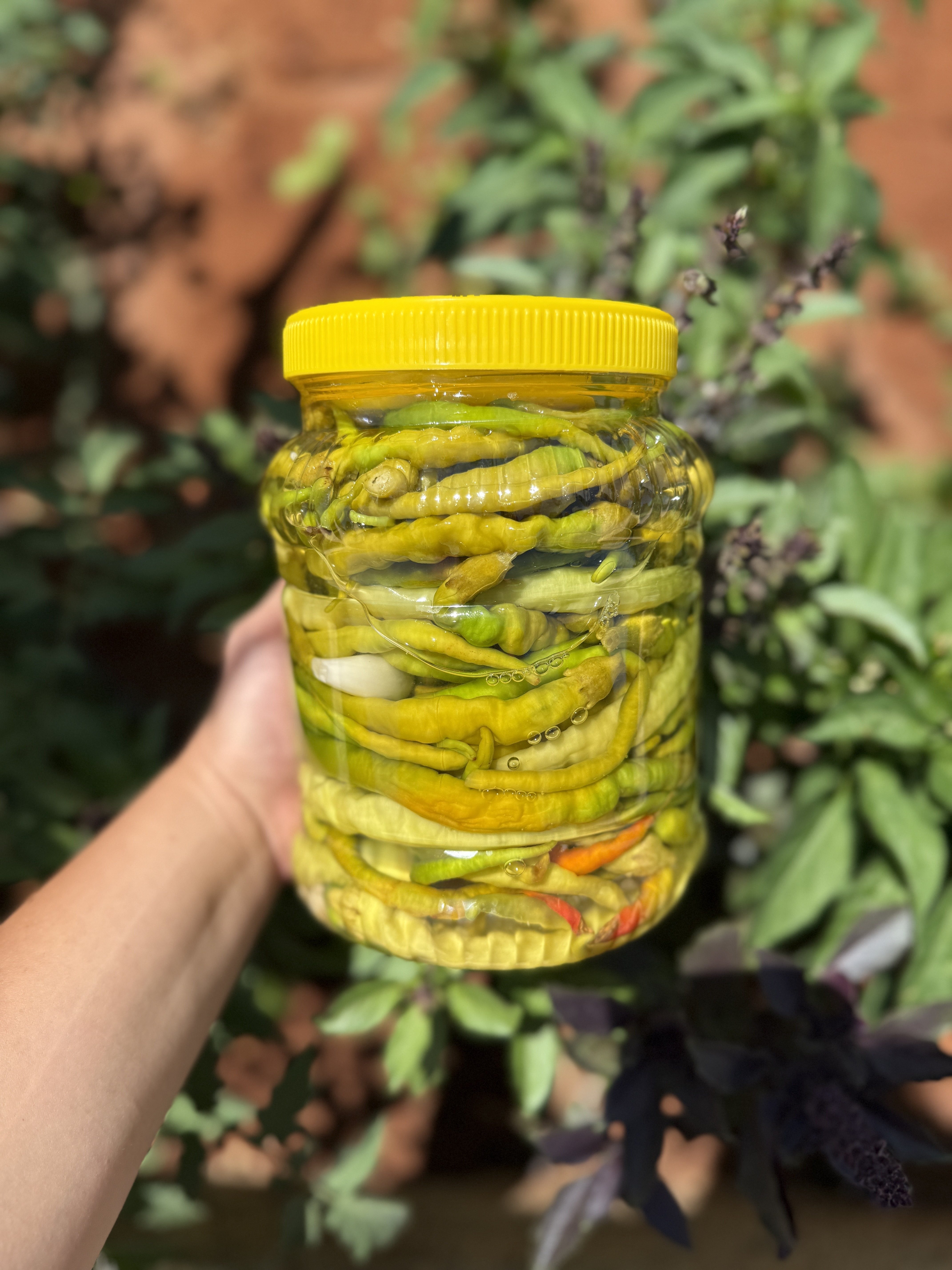 Köy Kıl biber turşusu 2 kg